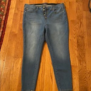 Torrid Jeans